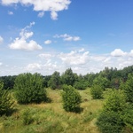 teren przed rozpoczęciem inwestycji